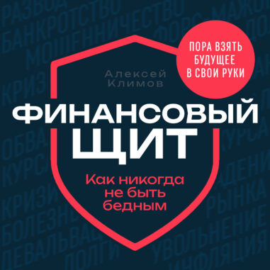 обложка аудиокниги Финансовый щит